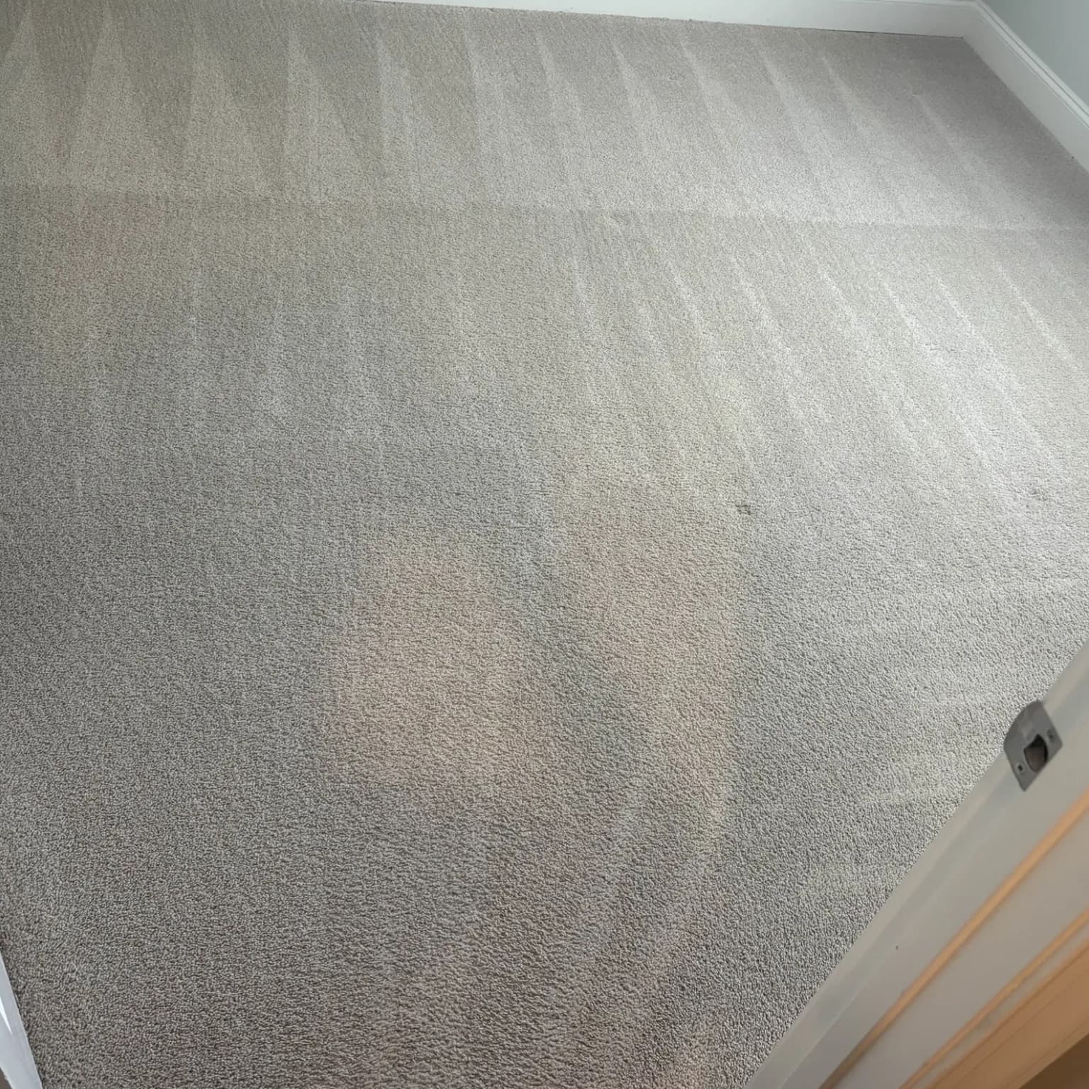 Freshly cleaned carpet in a Garland home