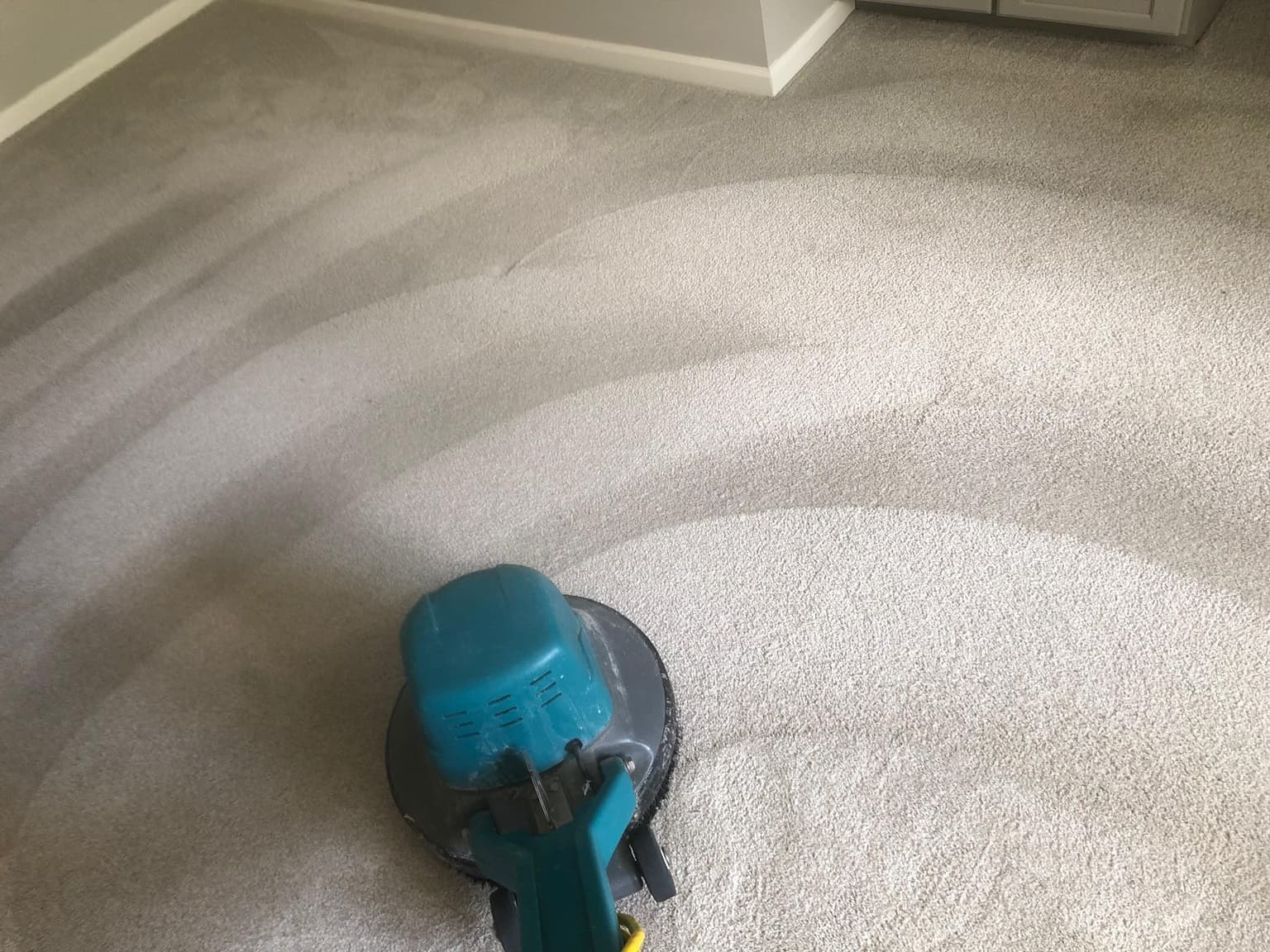 Carpet Cleaning